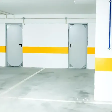 Oasis *