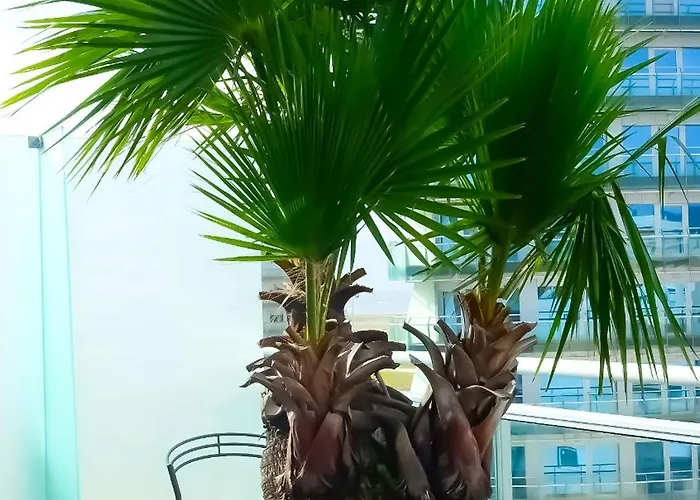 アパート Oasis ブアルコス